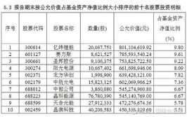 陈光明、傅鹏博、朱少醒等顶流基金经理一季度持仓曝光！二季度有哪些投资机会？(基金万股混合配置二季度)