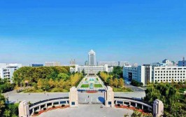 山东大学共有几个校区