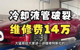 维修竟要14万(特斯拉车主维修万元石子儿)