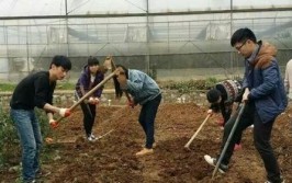 掌握植物习性合理配置土壤可以大大提升养护容错率