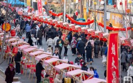 台湾八县市把年货大集开到了北京