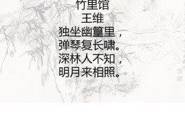 竹里馆表达了诗人怎样的心境