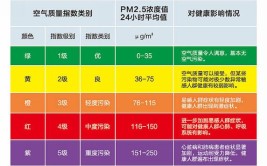 PM2.5被正式命名为什么