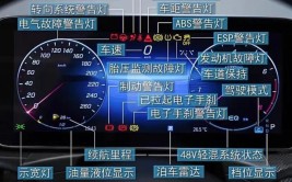 这些操作赶紧学起来(彩蛋拍了拍操作别怕车主)