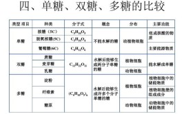 多糖的单体都是葡萄糖吗