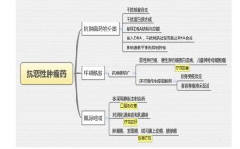 药理学主要研究对象