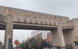 重庆公共运输职业学院怎么样