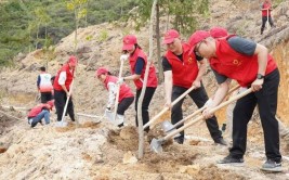 32万人义务植树117万株河源全市掀起爱绿植绿护绿热潮