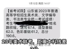 美术联考成绩不合格或不理想怎么办还可以参加校考吗