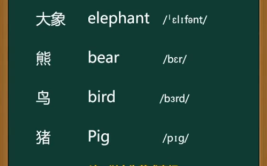 大象的英文怎么拼写是什么