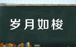 岁月如梭是什么意思