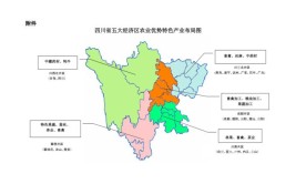 四川公布发展壮大县域经济“路线图”(县域产业集群现代农业发展亿元)