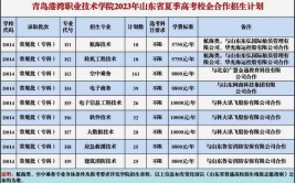 青岛港湾职业技术学院2020年普通高等教育招生章程