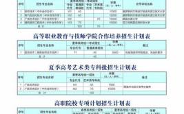 威海职业学院中外合作办学专业有哪些？