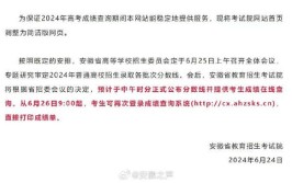 2024安徽新高考九省联考成绩查询时间