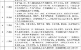 园区绿化都有哪些事项园区绿化养护内容和措施盘点