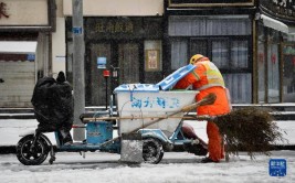 殷都区农业农村局寒潮来袭 以动制冻保生产保民生