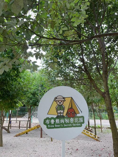 在玉溪的外地人：期待玉溪明天更美好(道路城区城市公园小区) 汽修知识