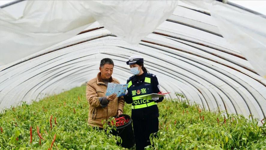 怎么走看这里！(丰收交警明天将迎来金陵) 汽修知识