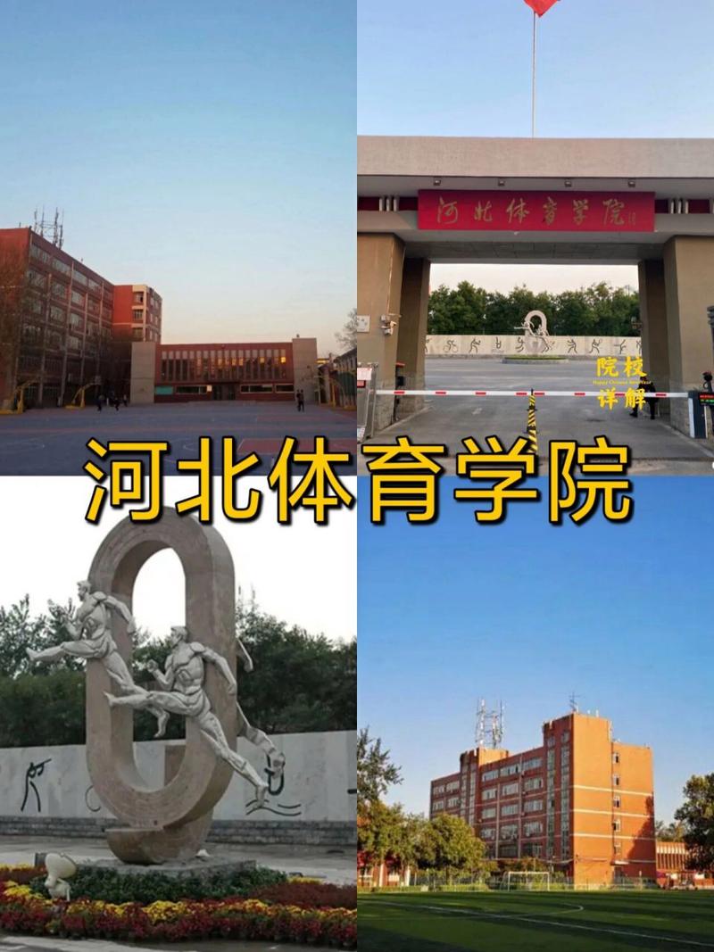 河北体育学院有哪些院系？ 育学科普