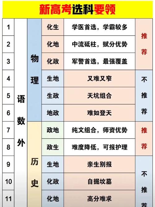 新高考文化创意与策划专业选科要求 育学科普