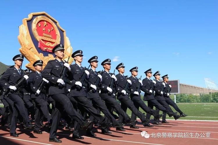 不选政治考警校吃亏吗 育学科普