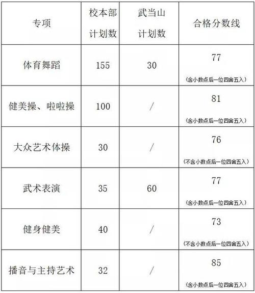 舞蹈艺考多少分才能过本科 育学科普