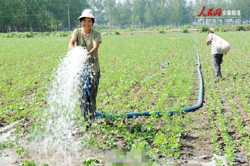 抗旱！沂水在行动！(抗旱沂水抢种水肥灌溉) 汽修知识