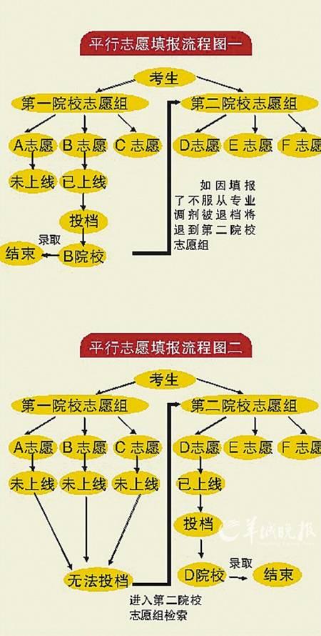 平行志愿6个专业顺序怎么填 育学科普