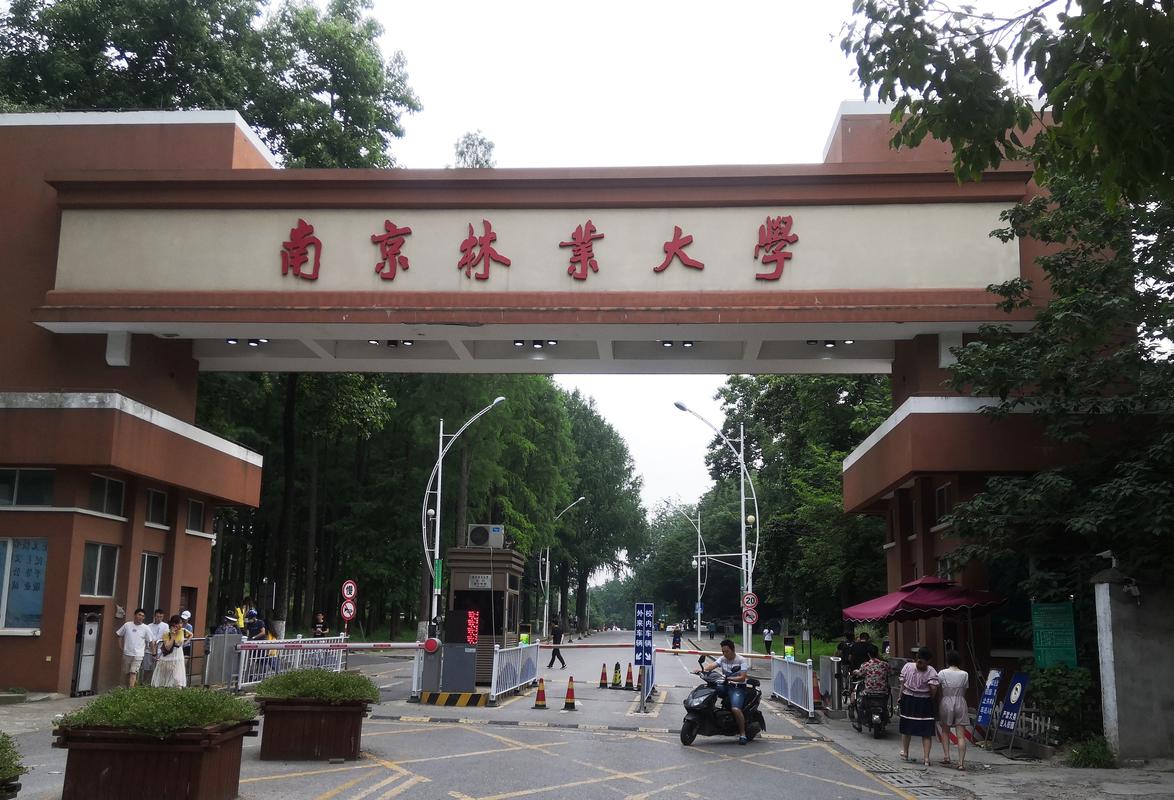 南京林业大学怎么样 育学科普