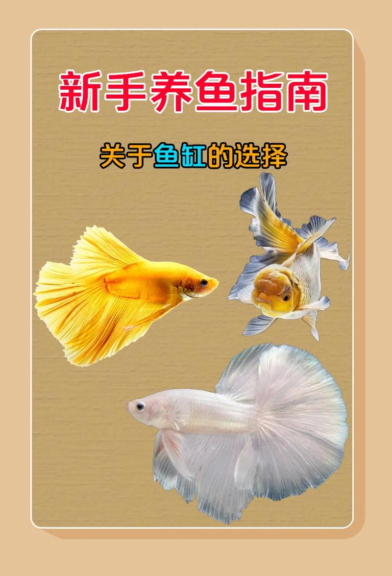 它们的优缺点有哪些？(水族养鱼三种优缺点鱼缸) 汽修知识