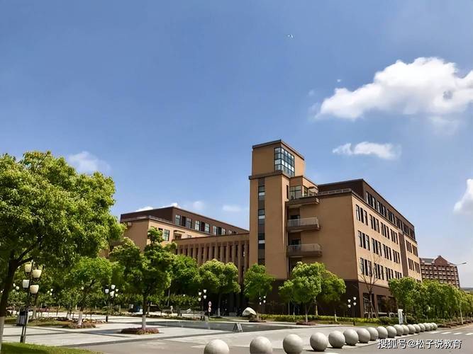 上海电机学院是公办还是民办大学？ 育学科普