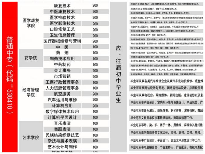 云南新兴职业学院单招专业有哪些？ 育学科普