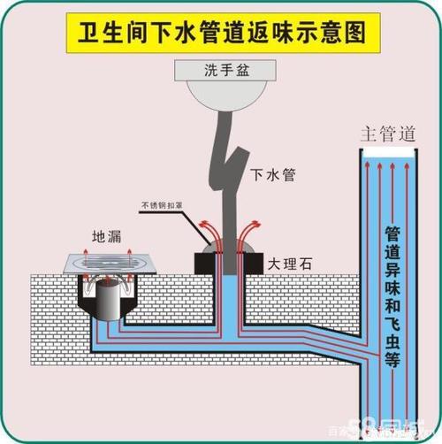 地漏存水弯怎么选？还得靠水封才有效(地漏排水水封臭气卫生间) 建筑知识