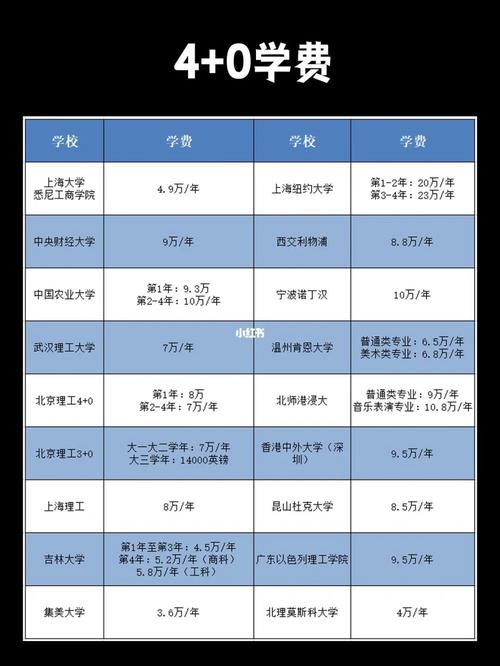 山东科技大学中外合作办学学费多少钱一年 育学科普