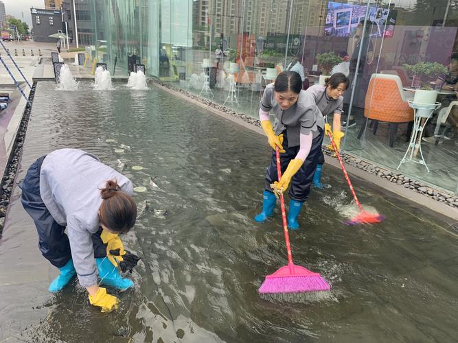 放心交给我们！(水池清洗消毒服务专业) 汽修知识