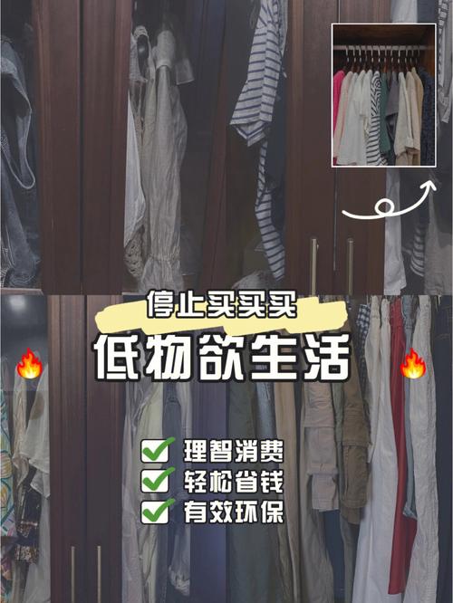 您永远不要从衣柜中清除的五个最佳基础知识(衣柜基础知识清除永远您的) 建筑知识