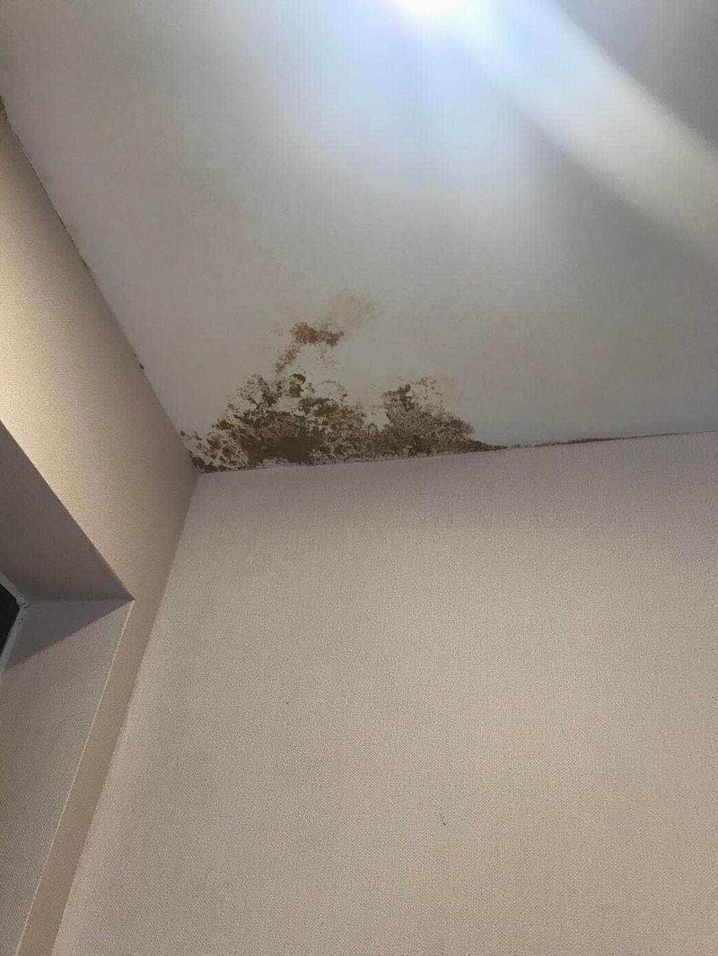 还是开发商？(漏水房屋业主开发商楼上) 汽修知识