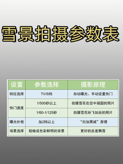 相机参数一定先设置好(雪景相机参数设置摄影技巧) 汽修知识