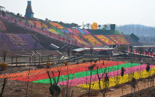 盘它！(西峡都来听说春节假期花海) 汽修知识