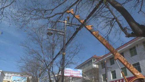 引发争议→(步道路灯小区居民修缮) 汽修知识