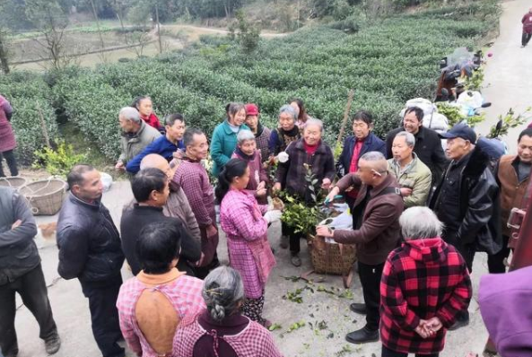 平南时讯(平南油茶时讯活动乡村) 汽修知识