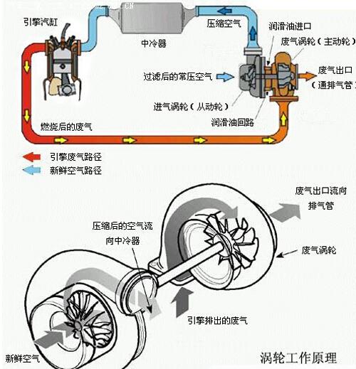 看看你知道几个？(增压几个废气你知道发动机) 汽修知识