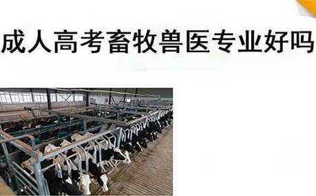 2024畜牧兽医专业前景怎么样 育学科普