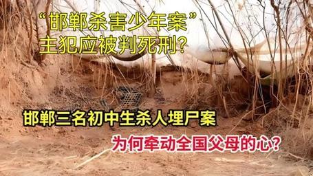 少年遇害案：嫌疑人和受害人的十年(供述无罪高院公厕死刑) 汽修知识