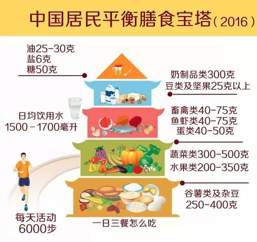 以优质果汁平衡中国人的膳食结构(果汁膳食平衡中国人果蔬) 汽修知识