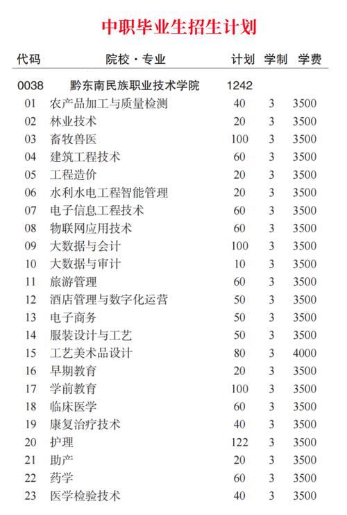 2024黔东南民族职业技术学院艺术类学费多少钱一年 育学科普