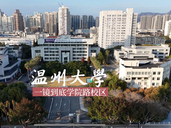 温州大学有哪些学院？ 育学科普