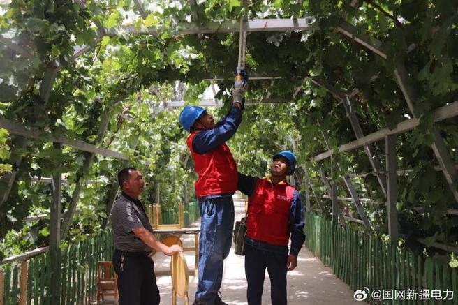 击鼓催征拼开局丨国网和田供电公司：“满格电”助生产保春耕(和田用电供电春耕公司) 汽修知识