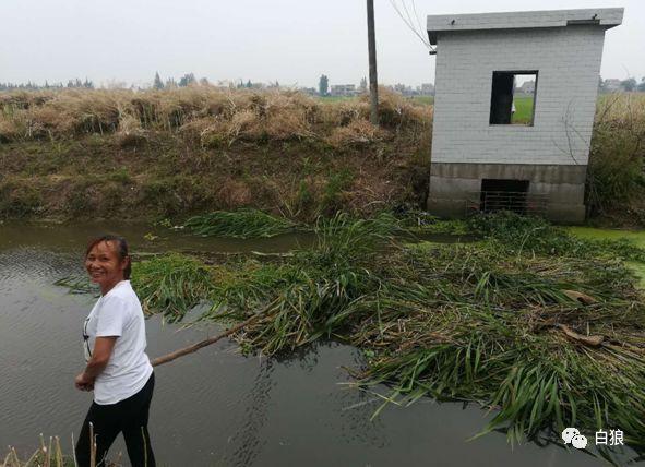 迟迟无人管？(民情坑洼迟迟随手河口) 汽修知识